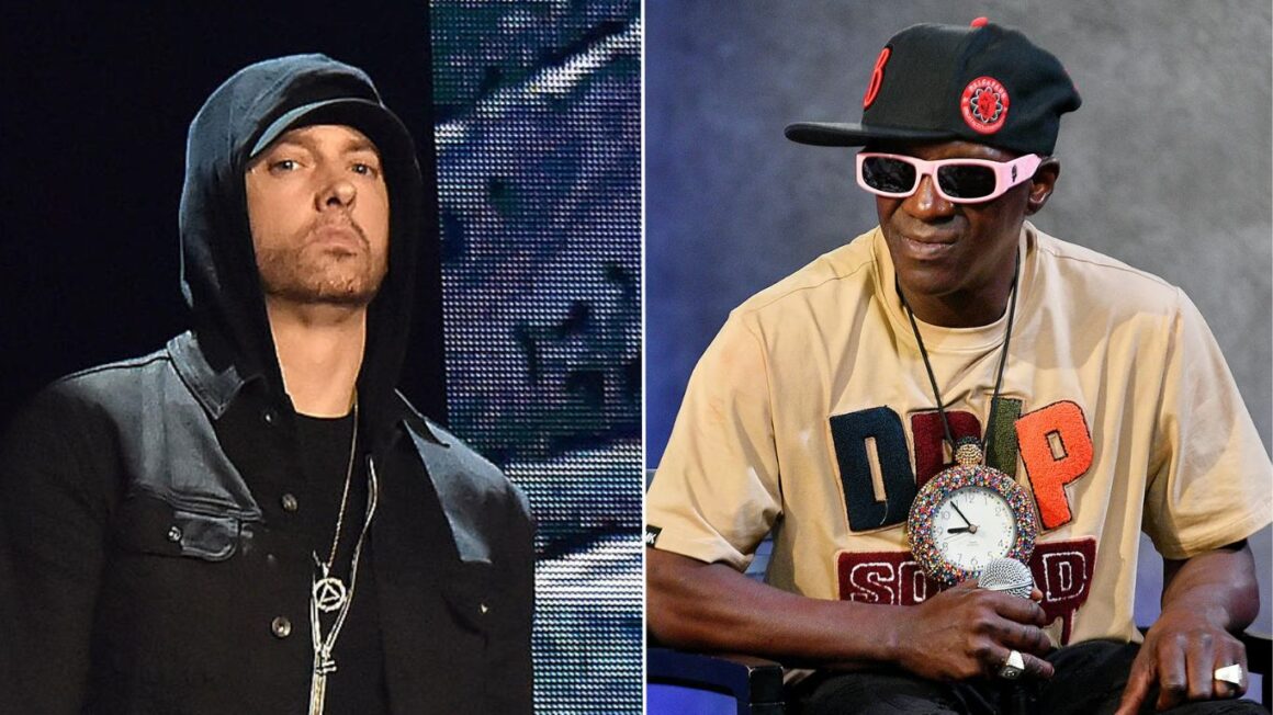 Eminem & Flavor Flav